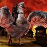 Nazgoose