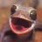 Grinning Lizard
